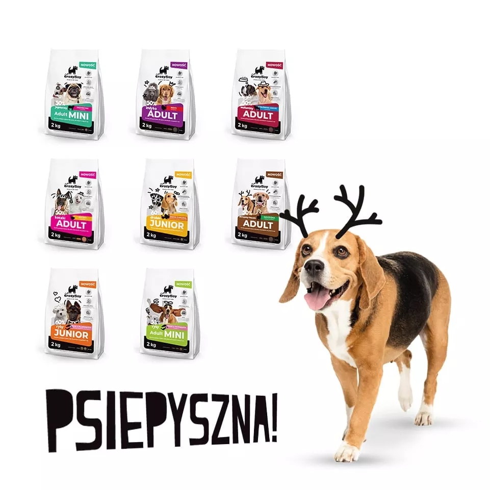 Strony-internetowe-Opole-crazyboy1