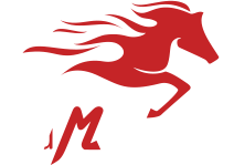 logo-stopka
